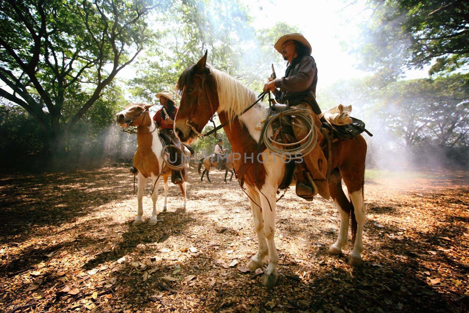 cowboy riding horse against sunset	 by chuanchai