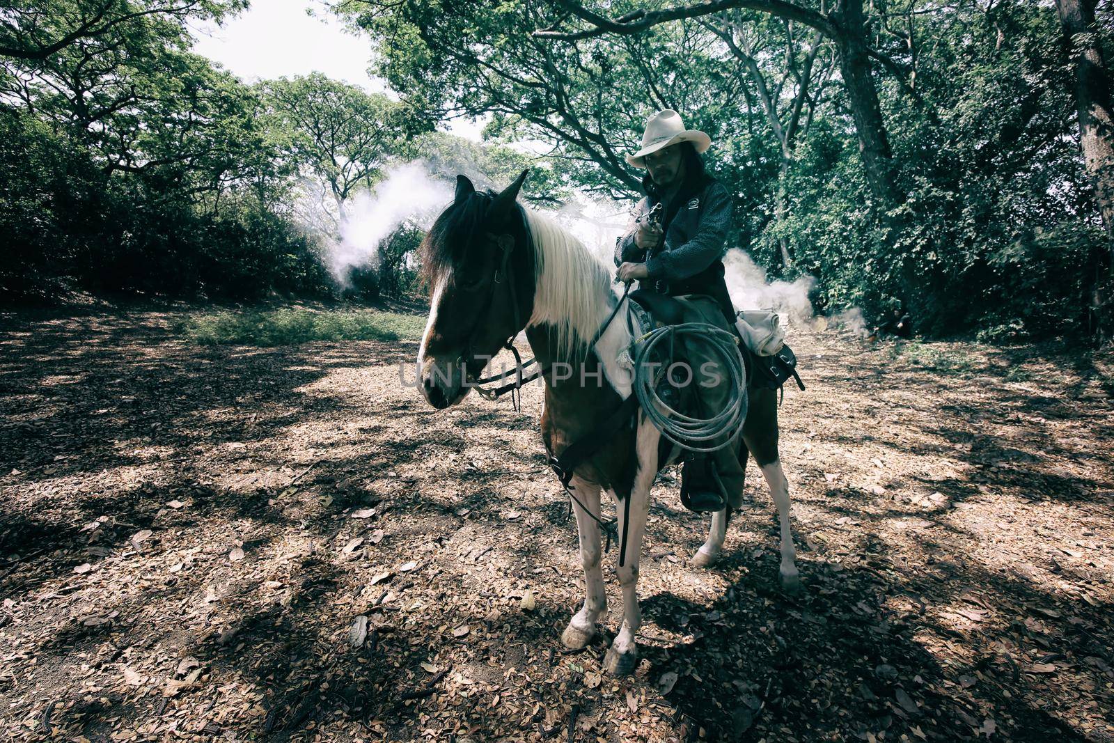 cowboy riding horse against sunset	 by chuanchai