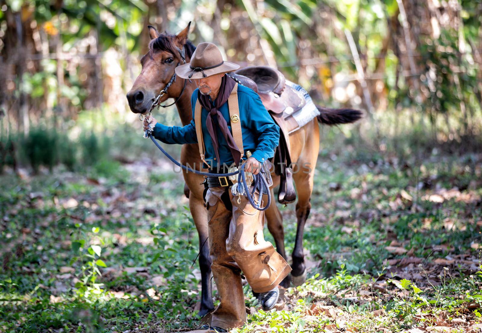 cowboy and horse at first light,mountain, river and lifestyle with natural light background	