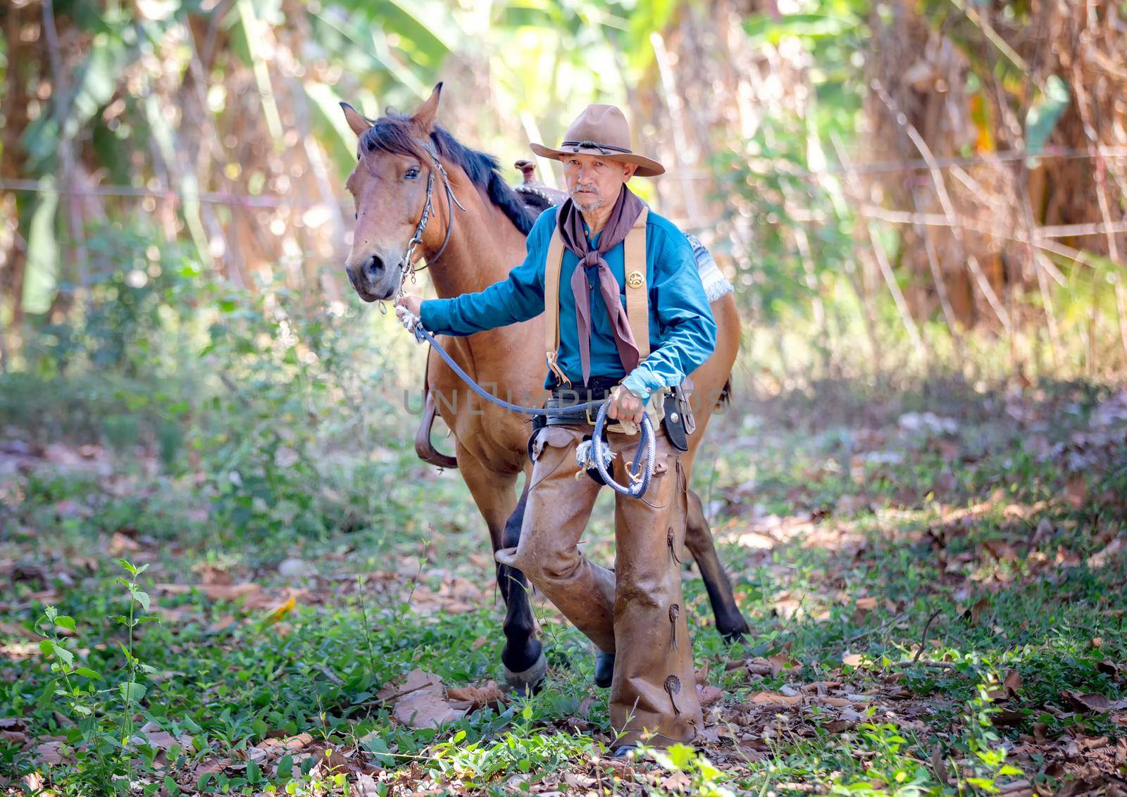 cowboy and horse at first light,mountain, river and lifestyle with natural light background	