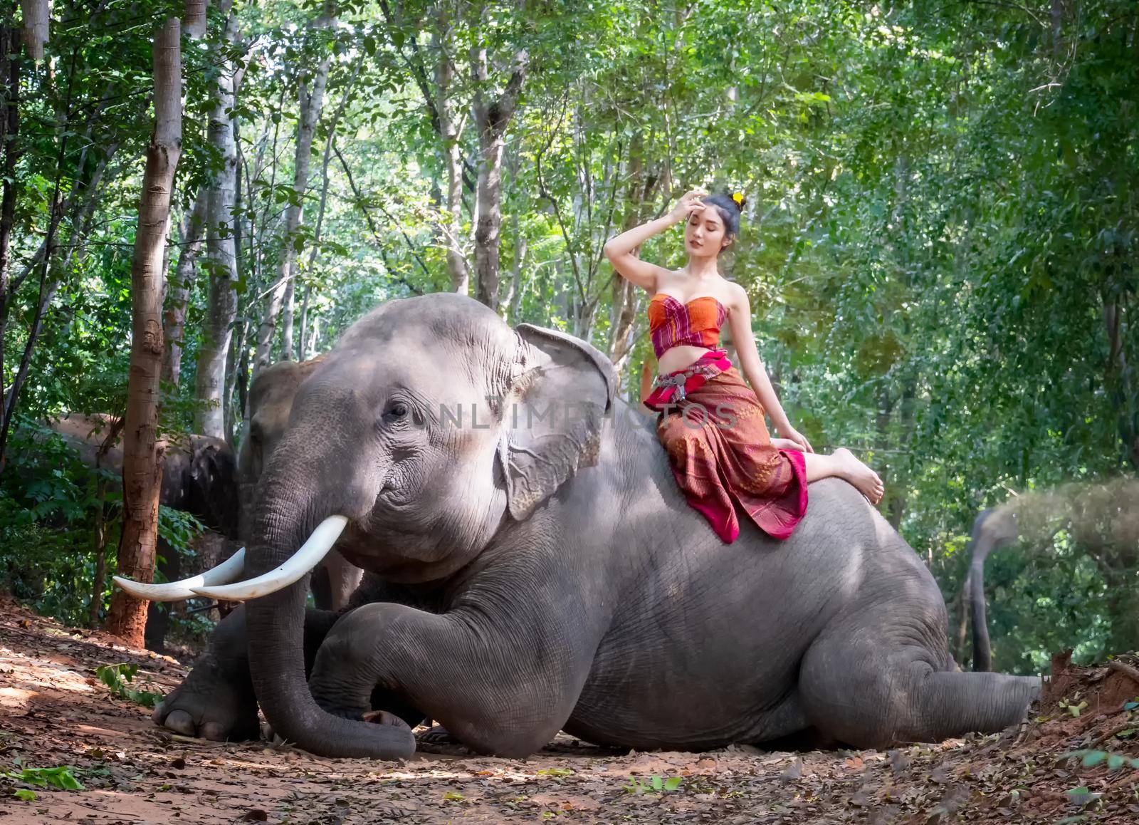 Portrait of Beautiful rural Thai woman wear Thai dress with elephant in Surin Province, Thailand by chuanchai