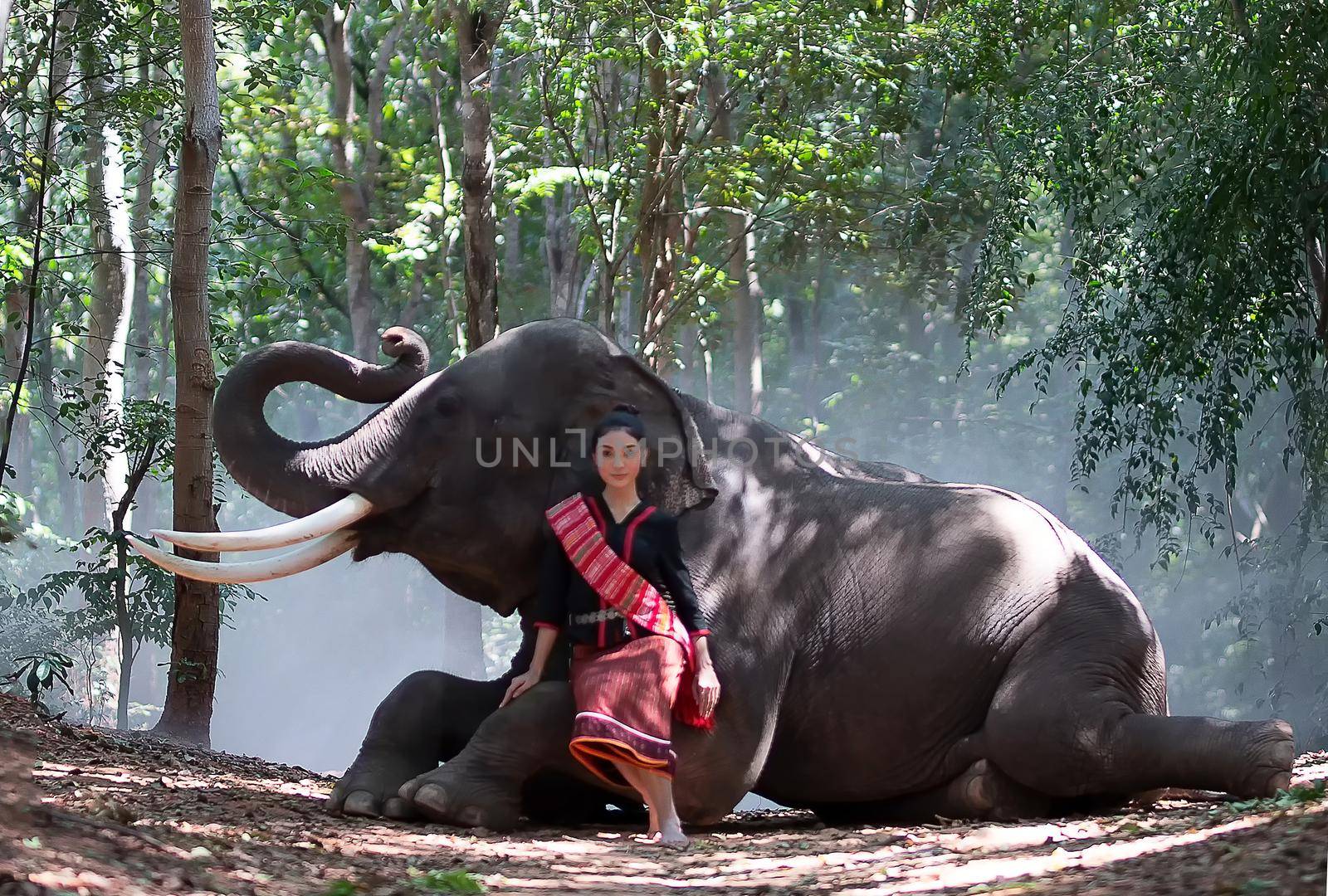 Portrait of Beautiful rural Thai woman wear Thai dress with elephant in Surin Province, Thailand