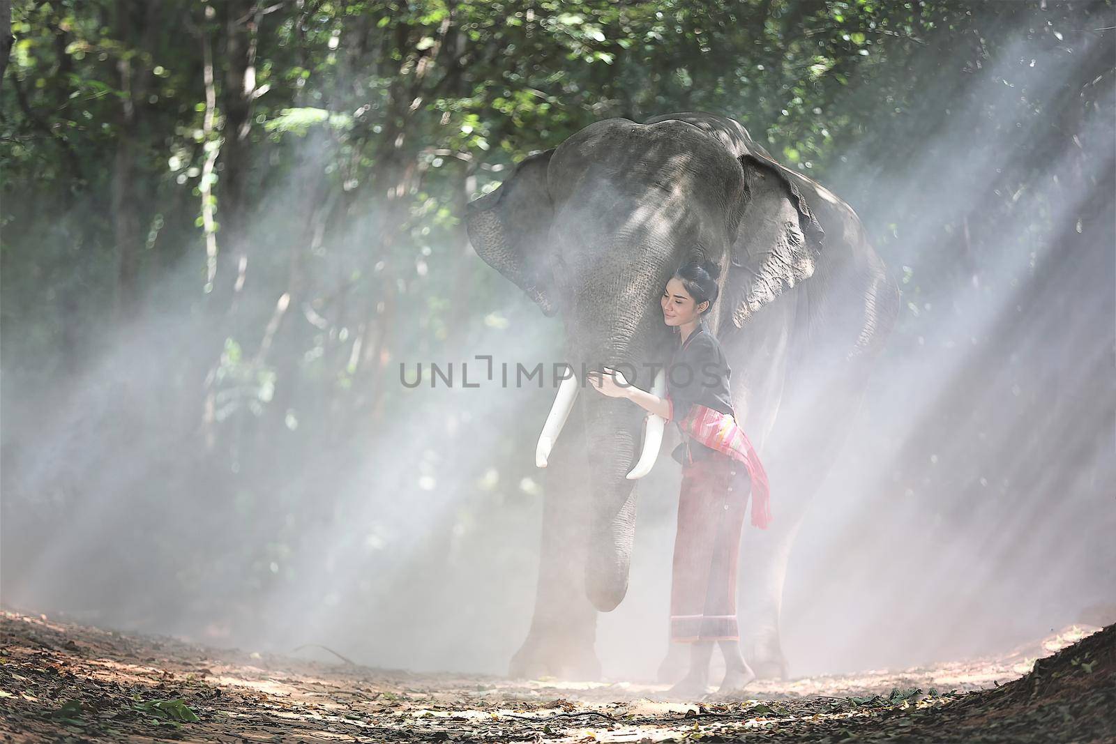 Portrait of Beautiful rural Thai woman wear Thai dress with elephant in Surin Province, Thailand by chuanchai