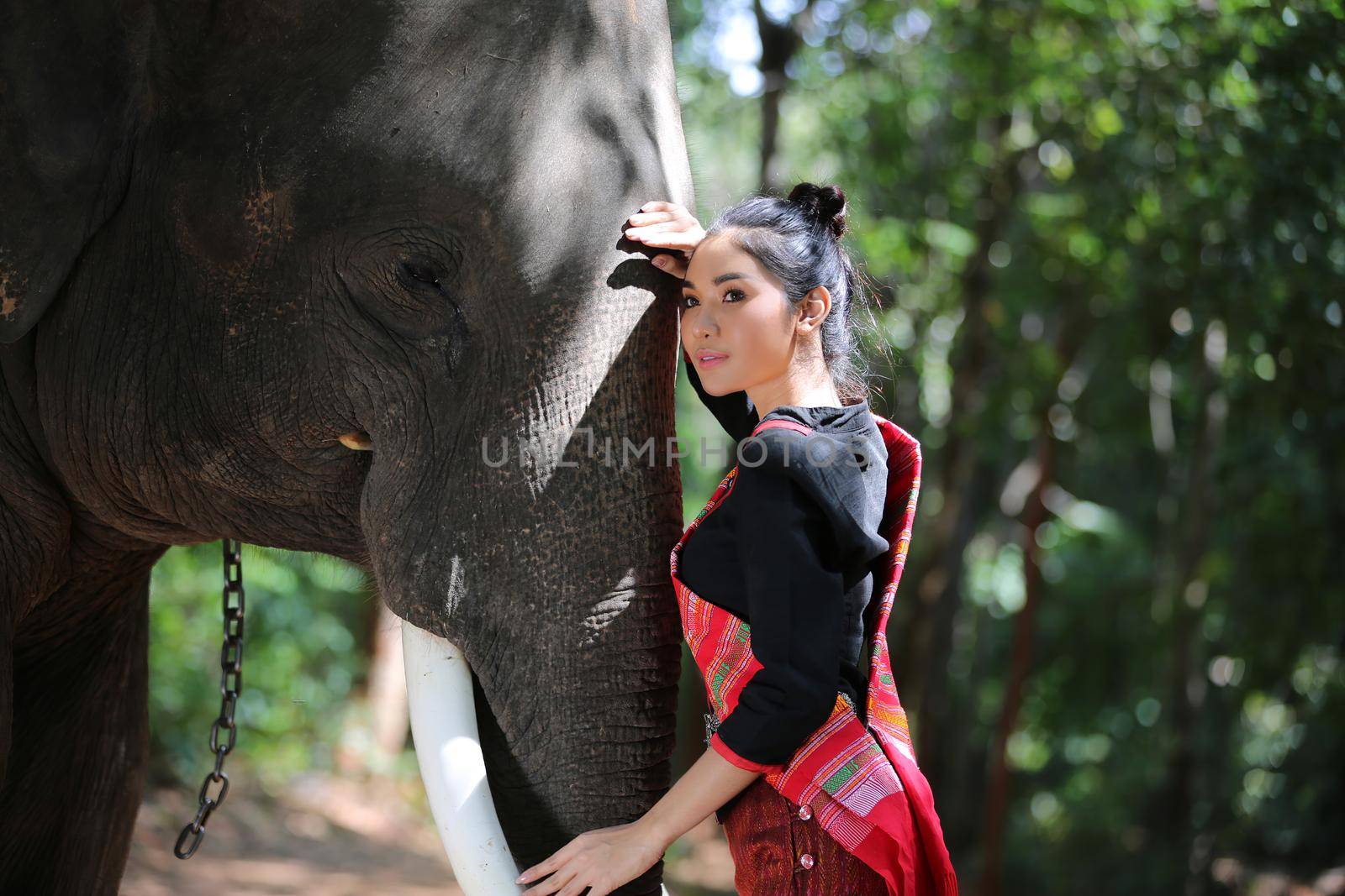 Portrait of Beautiful rural Thai woman wear Thai dress with elephant in Surin Province, Thailand by chuanchai