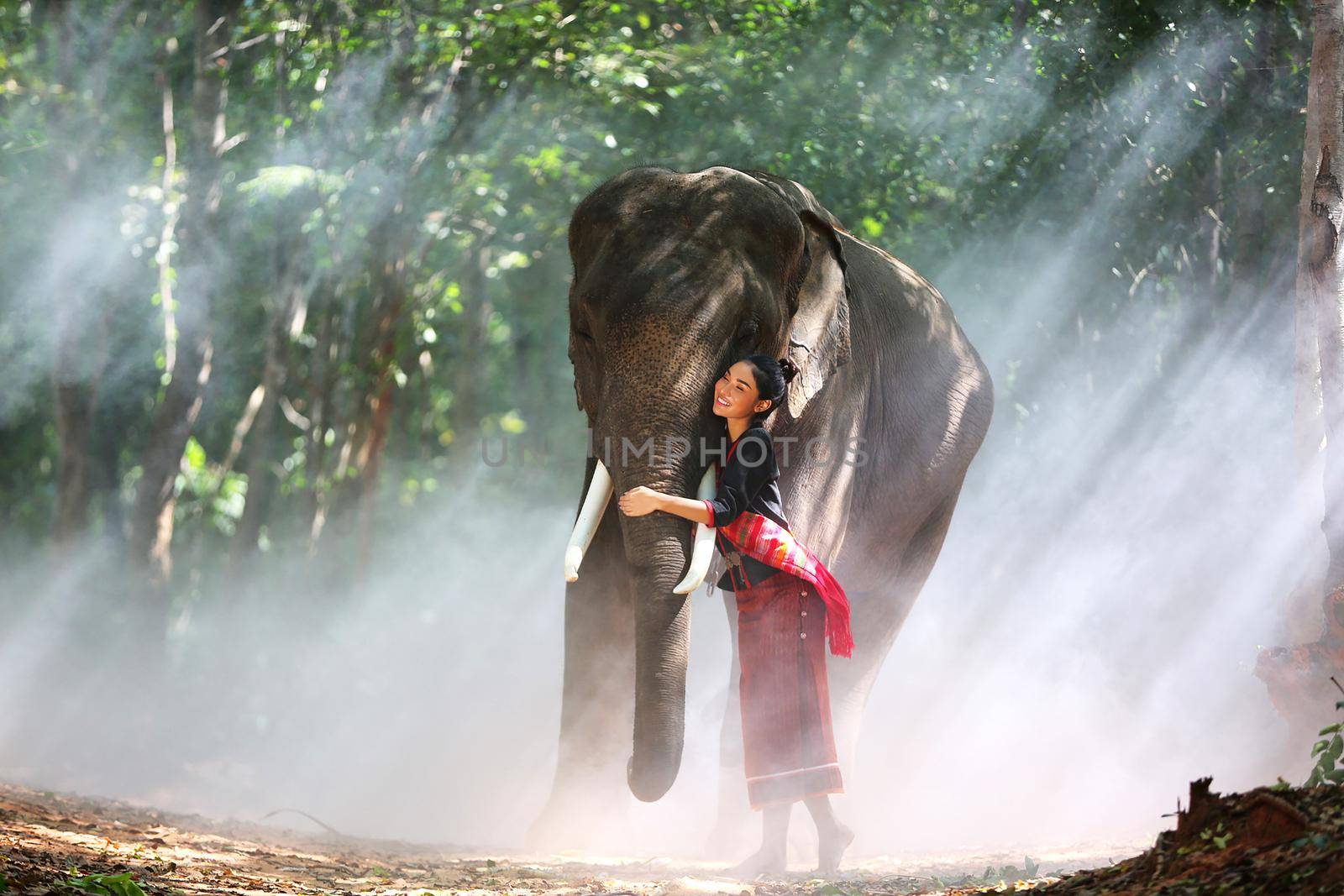 Beautiful young Asian woman dressed in traditional native dress and elephant in forest of village Surin Thailand	
