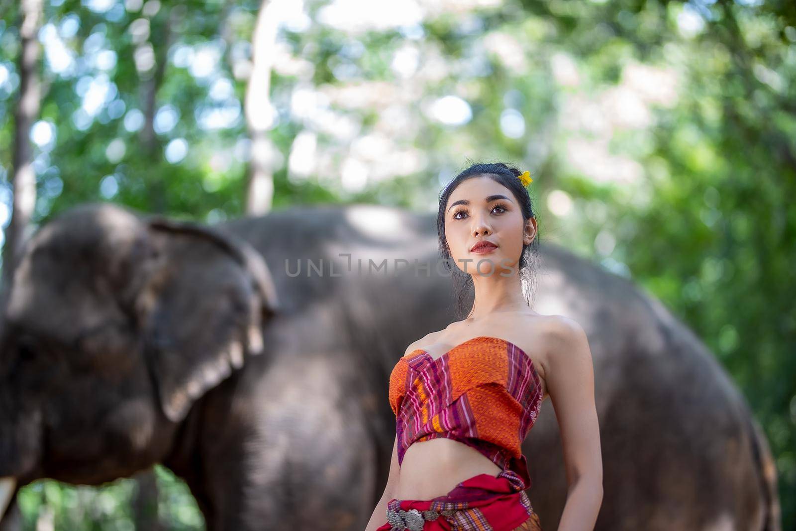 Beautiful young Asian woman dressed in traditional native dress and elephant in forest of village Surin Thailand	
