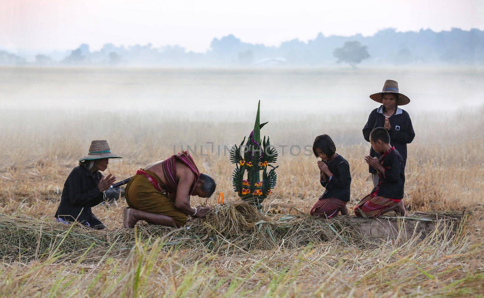 Farmers harvest in the rice field
 by chuanchai