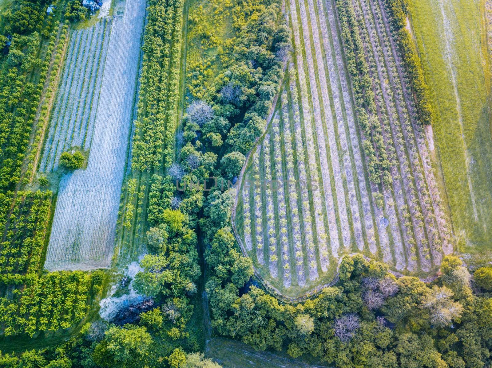Panorama of Szydlow. Szydlow, Holy Cross, Poland.