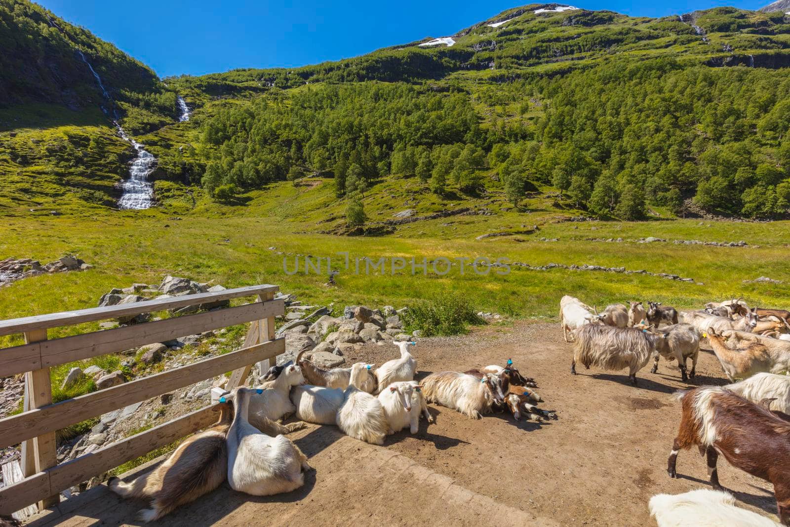 Trail from Myrdal to Flam. Flam, Western Norway, Norway.