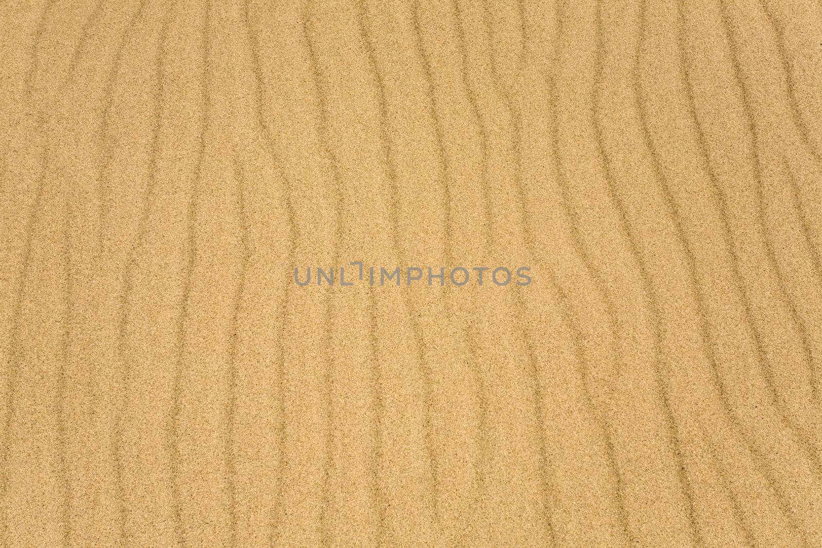 Yellow sand texture, background