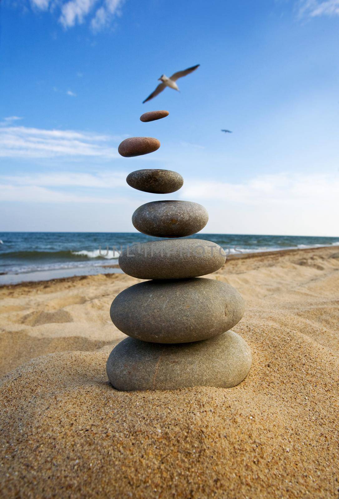 Stones fly behind a bird in the sky