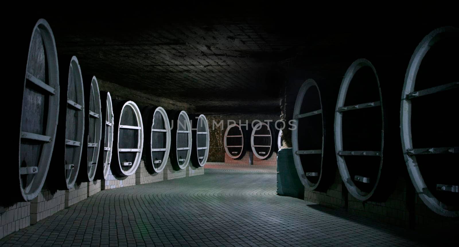  old wine cellar with barrels