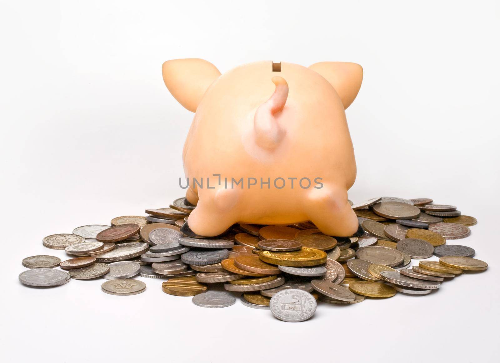 piggy bank turned his back to the viewer on a light background