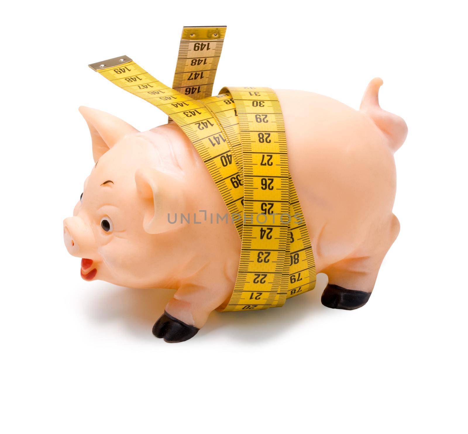 fat pig measures the waist measuring tape on a light background