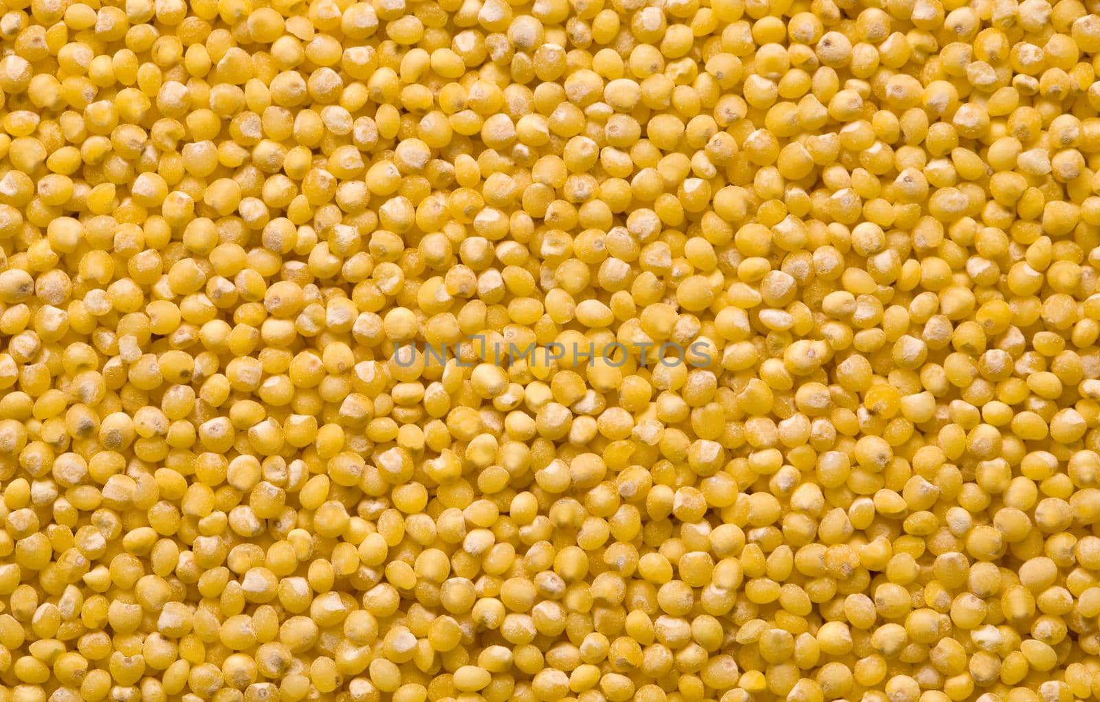 Millet Texture, Background close up