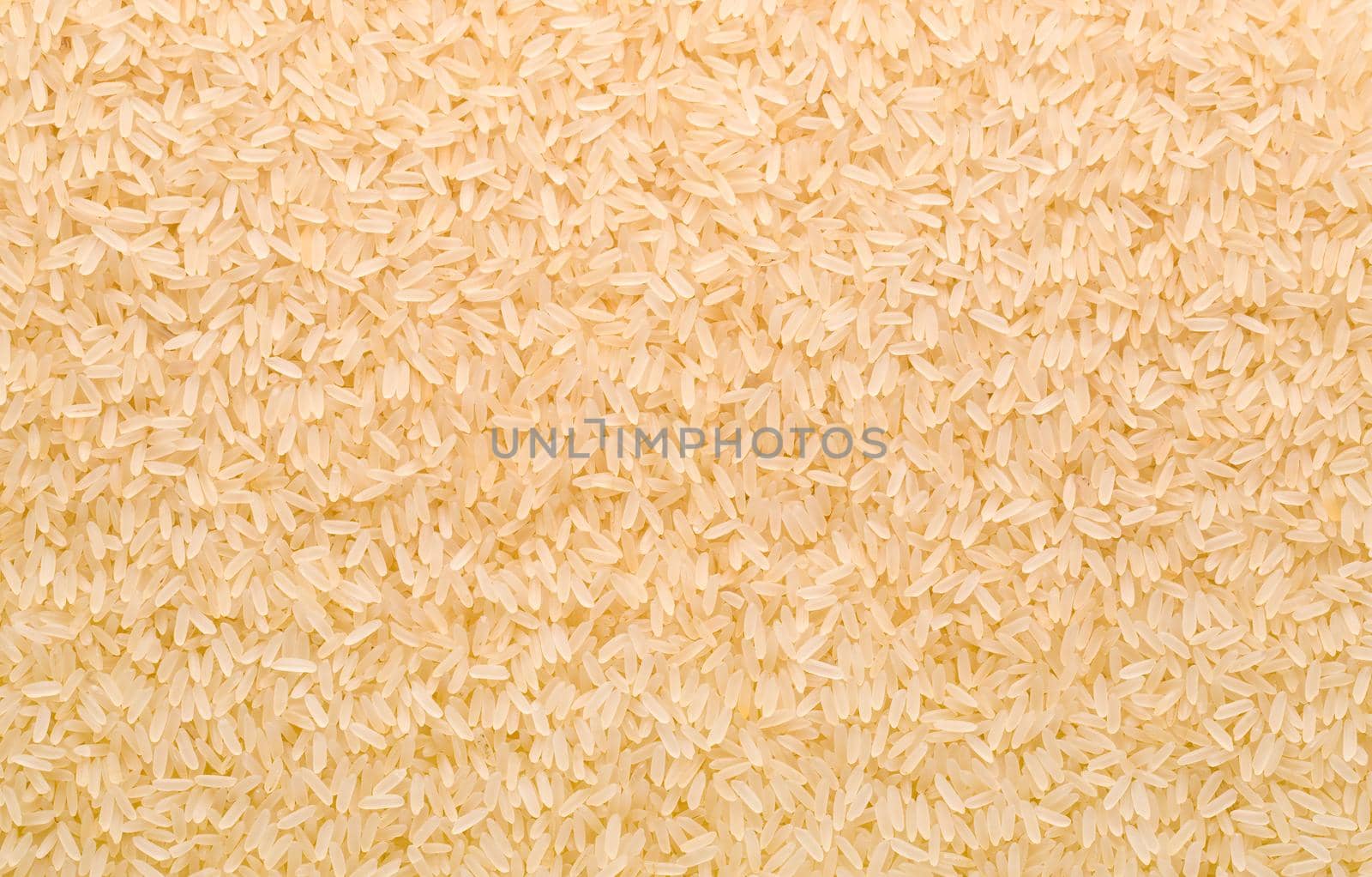 long grain rice by kornienko