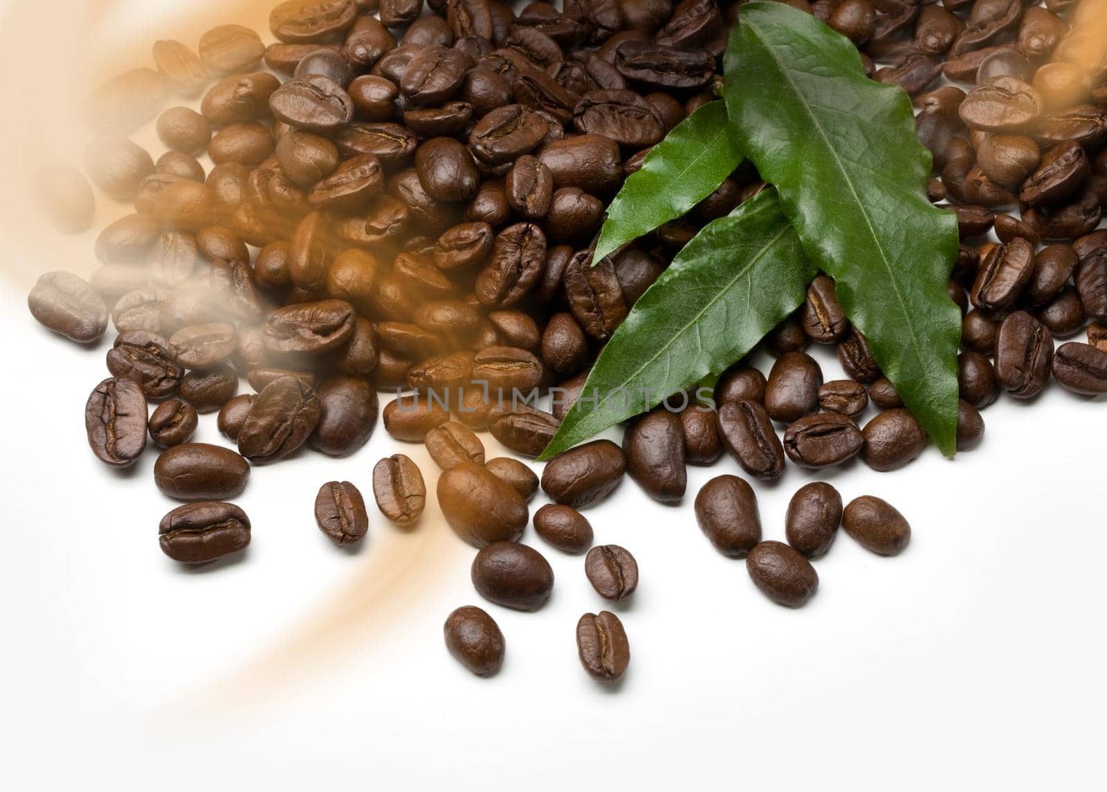 coffee grains and leaves on white background