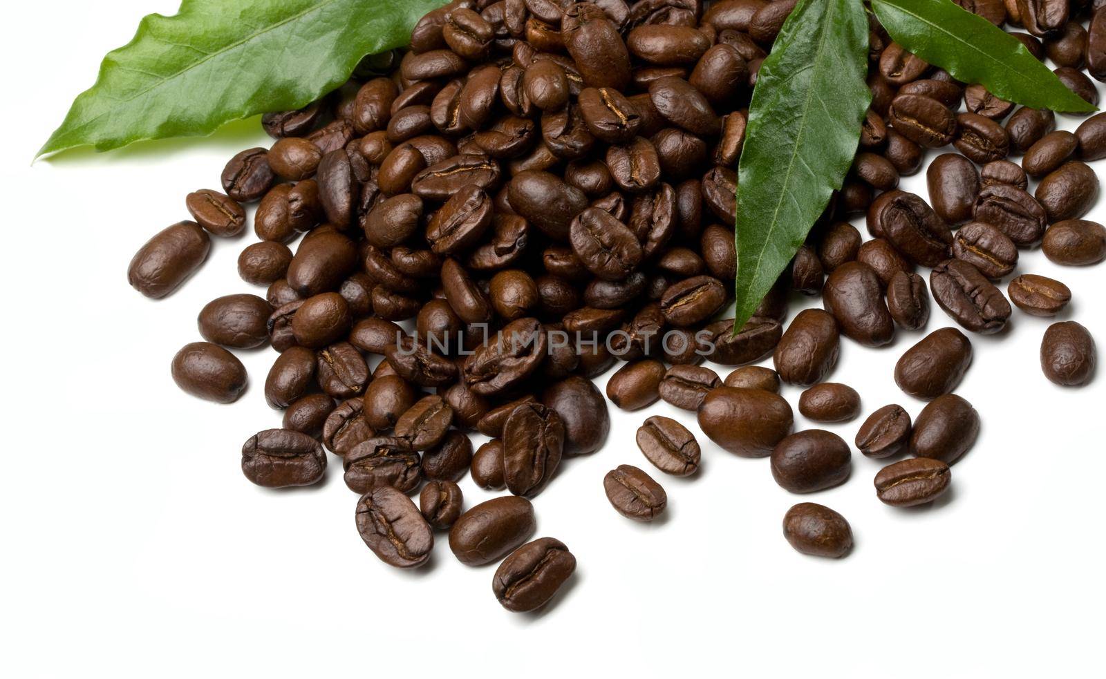 coffee grains and leaves on white background