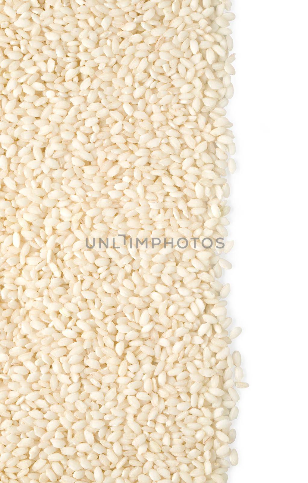 grains of rice  by kornienko
