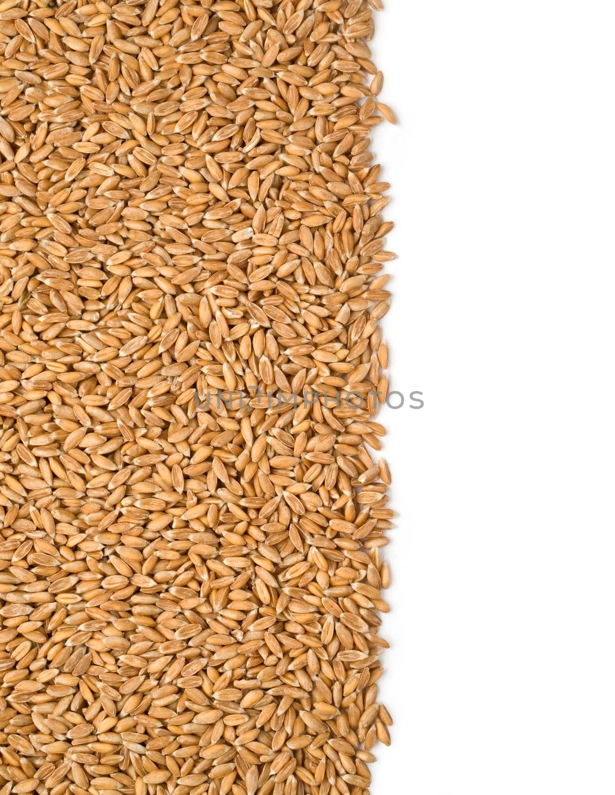 dinkel cereals on a white background with clipping path