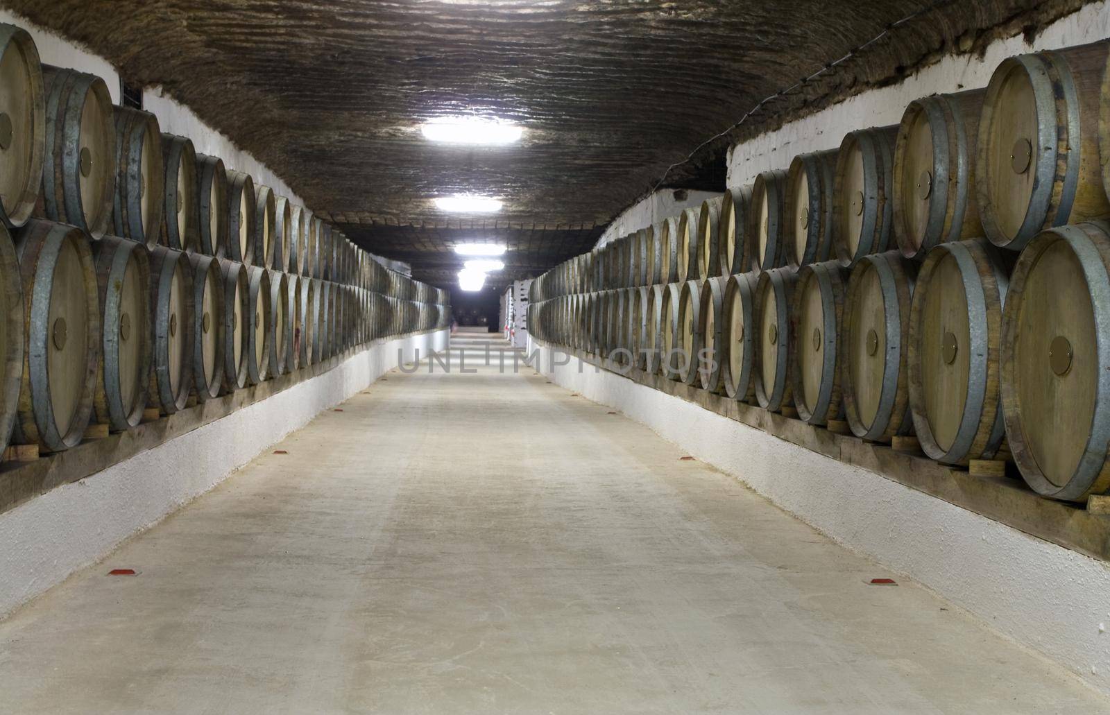 old wine cellar with barrels