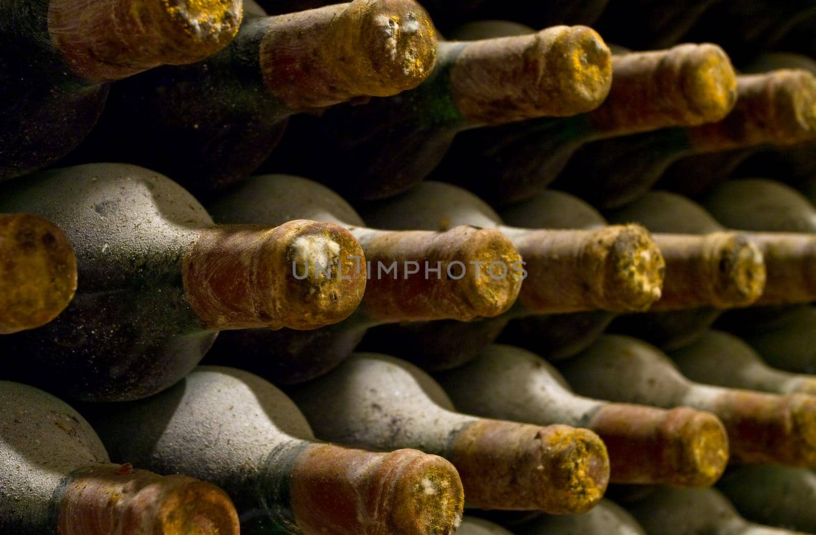 vineyard cellar with old bottles