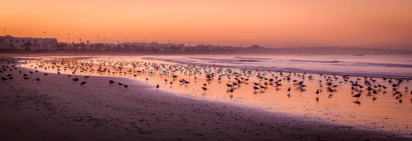 Beach in Agadir at sunrise. Agadir, Souss-Massa, Morocco.