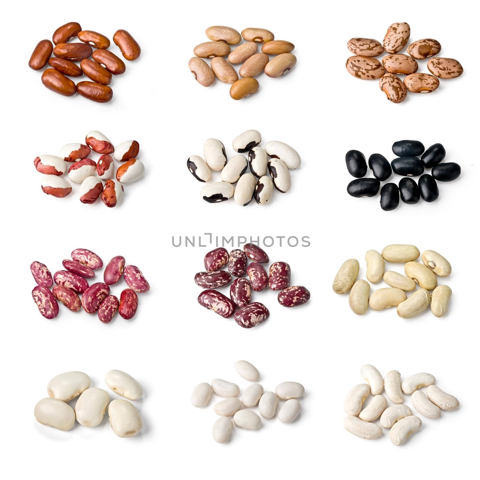 collection of different beans isolated on white background