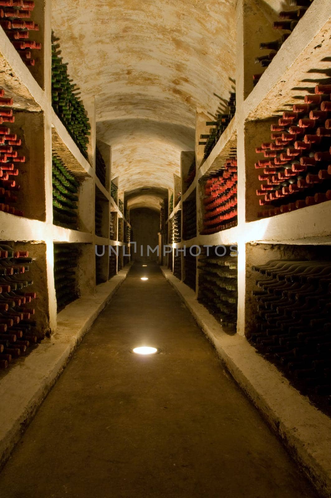 vineyard cellar with old bottles