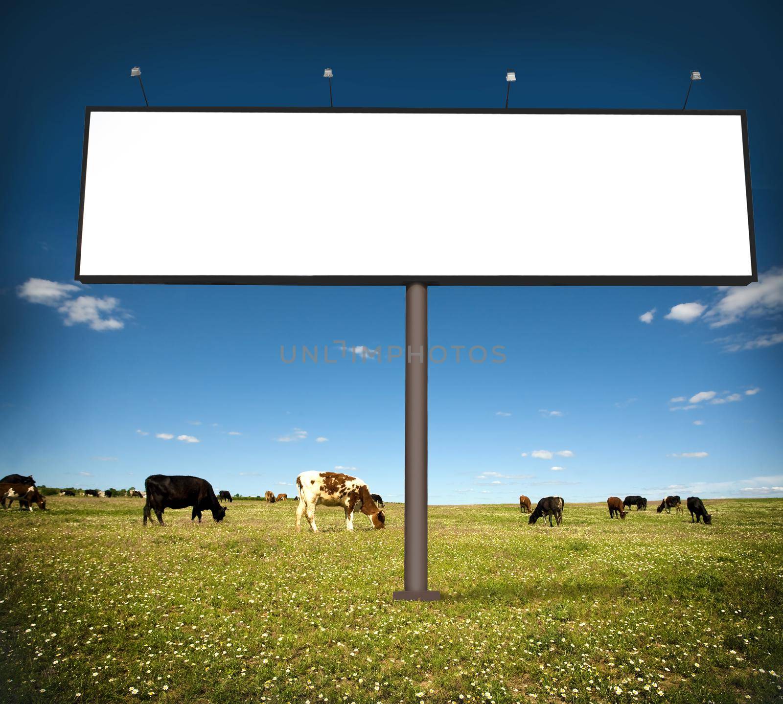 advertising billboard by kornienko