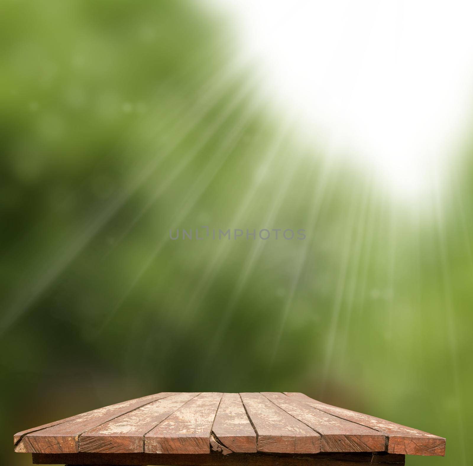 Empty wooden table with garden