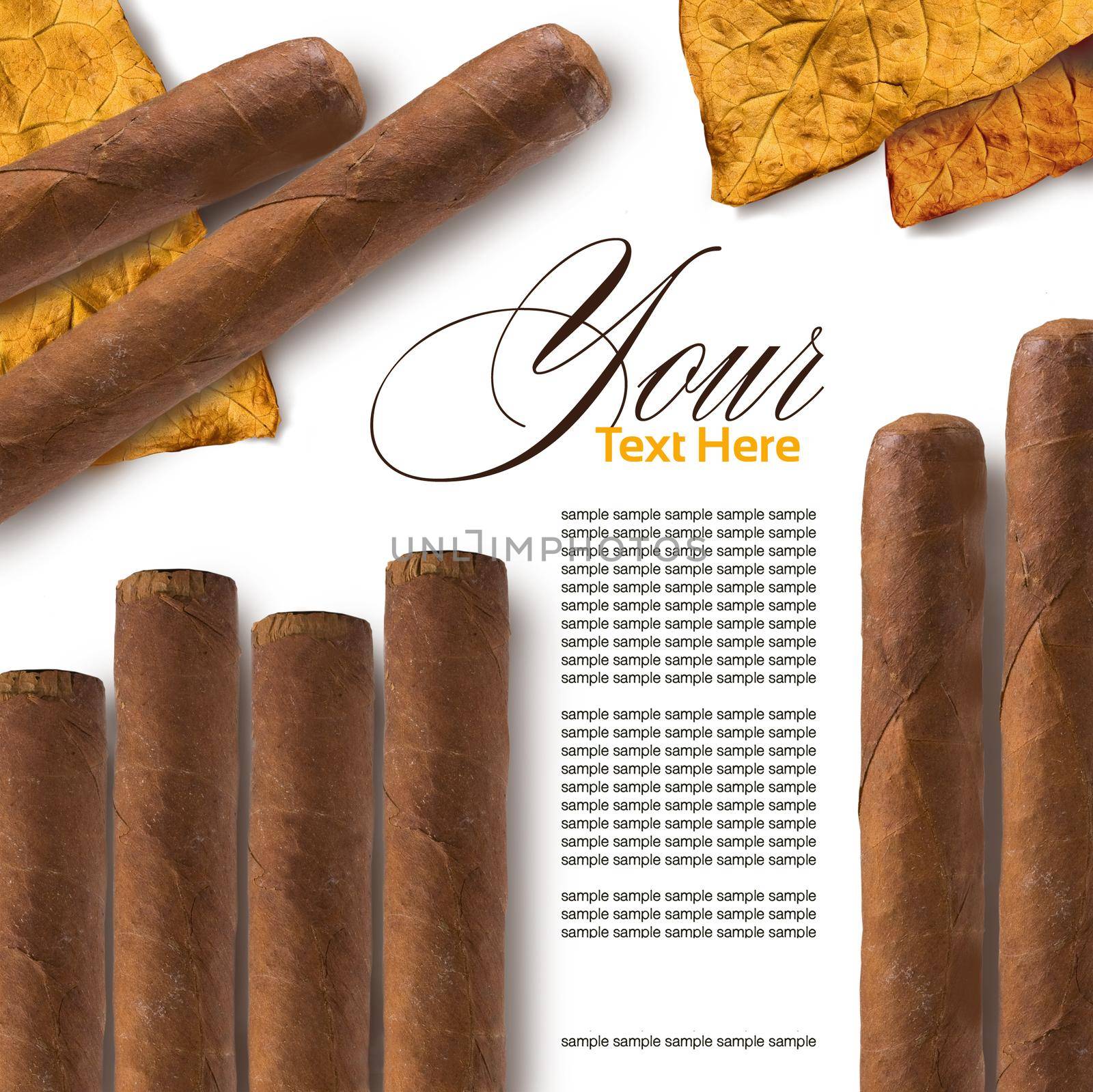 Cigars in a row close-up, may be used as background
