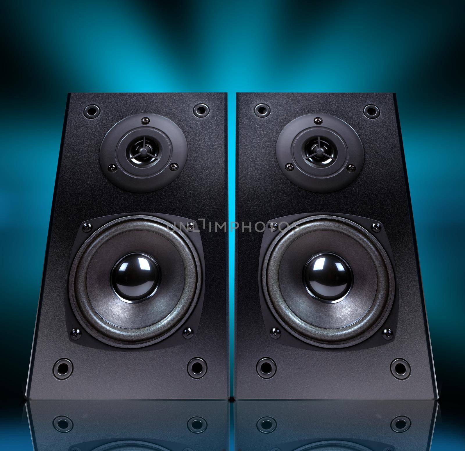 Audio speaker in  case isolated on black background, 
