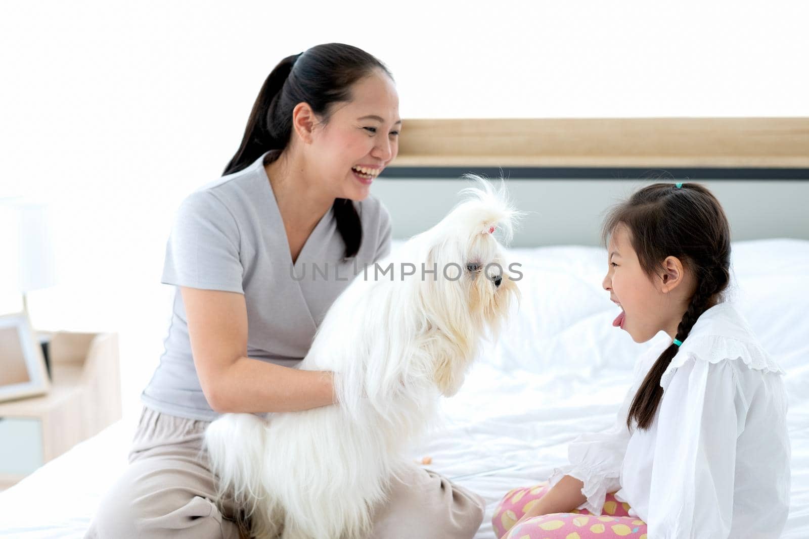 Little girl play and fun with white dog on bed also sit with her mother who smile with happiness.