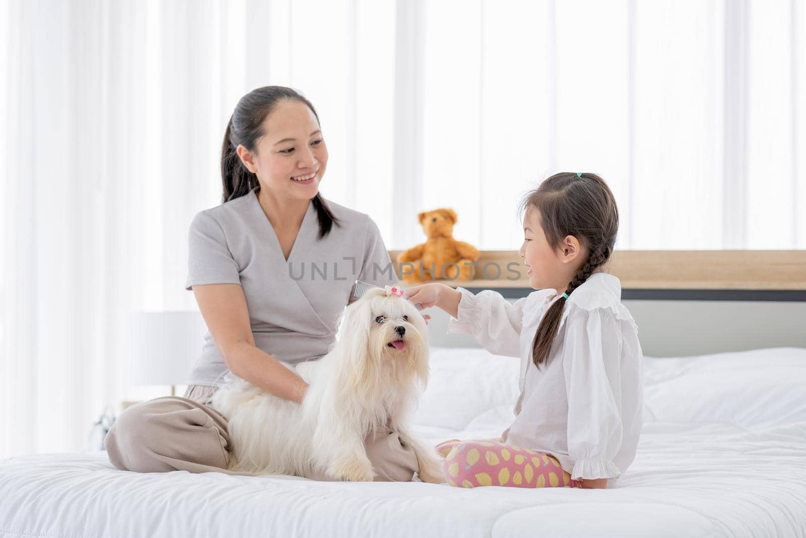 Little Asian girl play with white dog and sit near her mother to take care in bed room. Concept of happy family feel relax to stay home with their own pets.