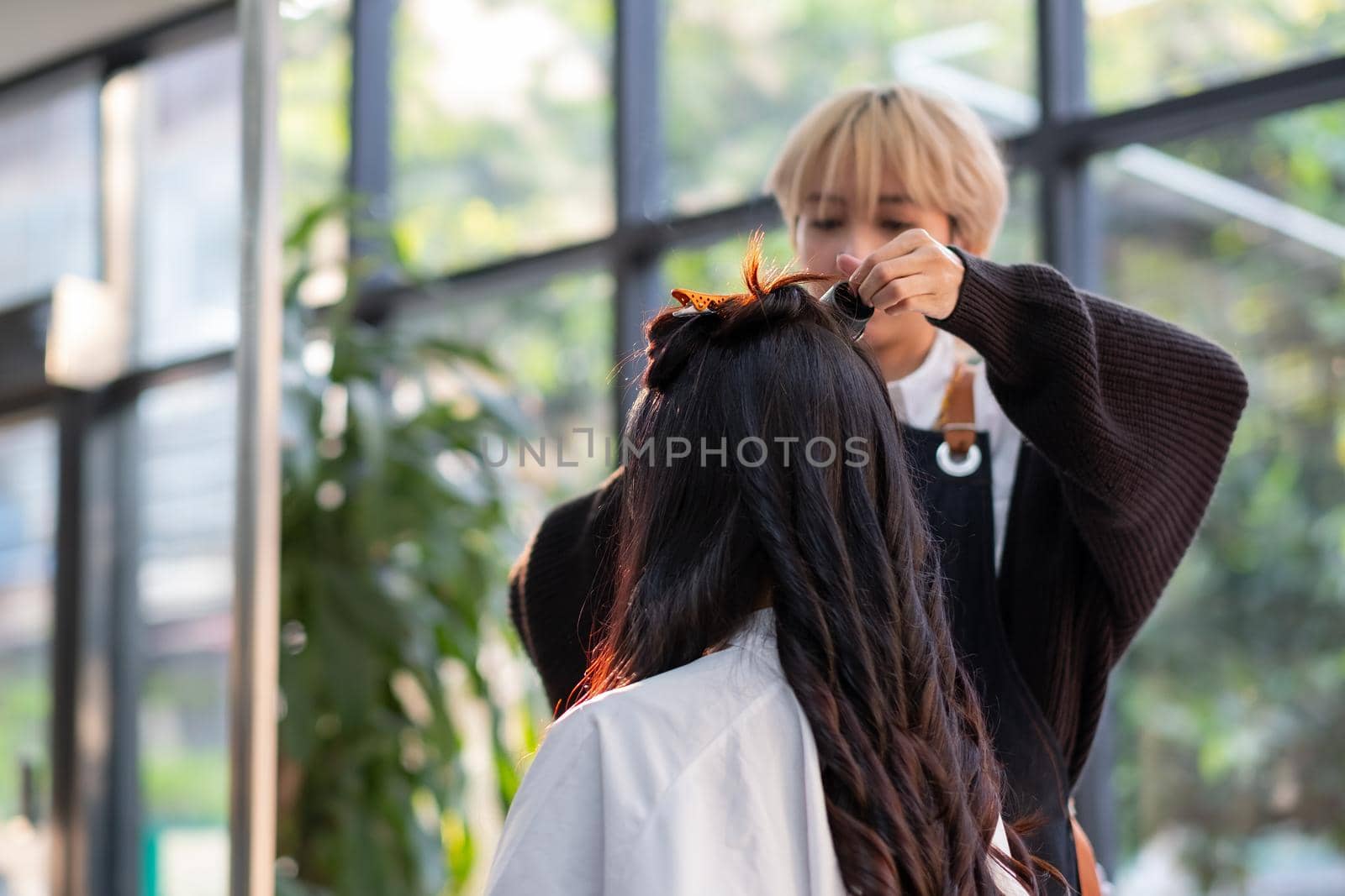 Back hair of woman is processing by beauty salon barber in the shop with day light.