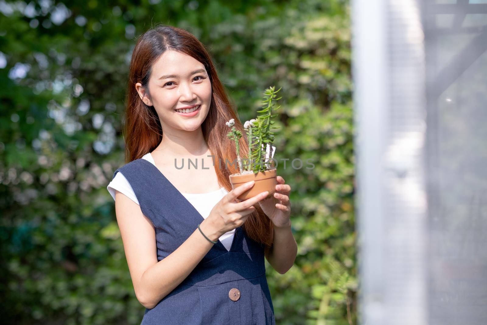 Beautiful Asian girl hold pot of plant and stand near green house with day light. Sustainable with grow cactus and other plant concept.