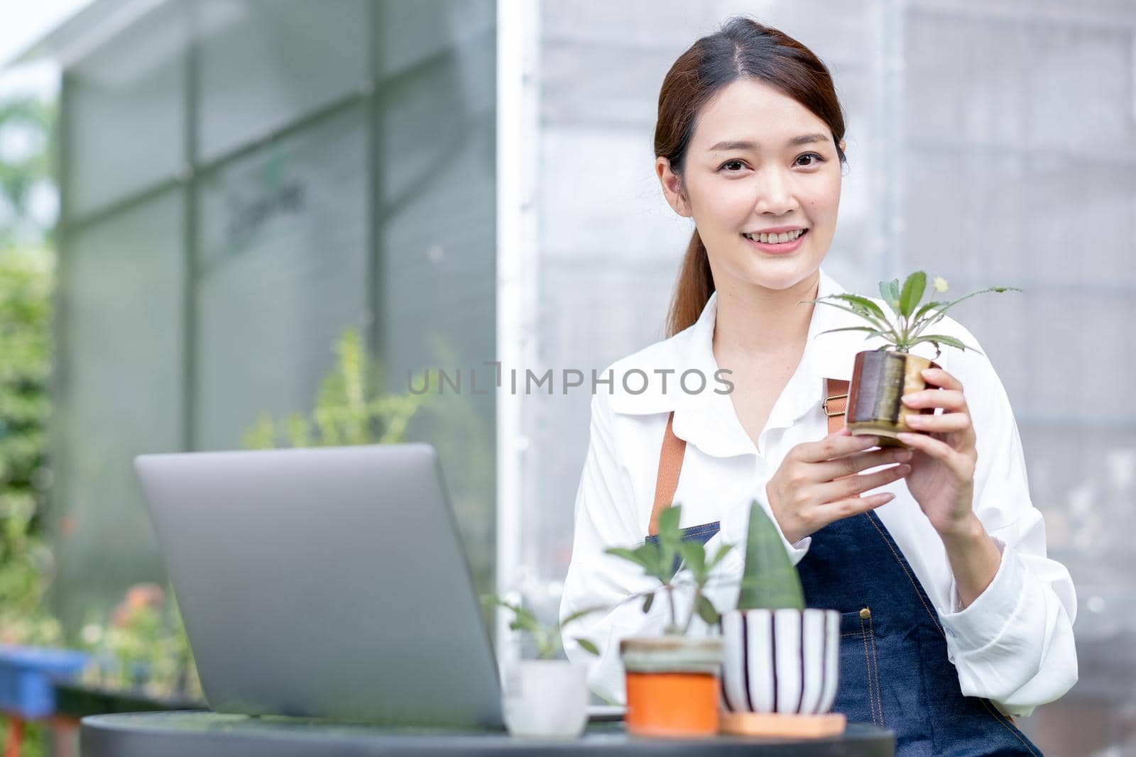 Beautiful Asian girl hold pot of plant and show to camera and sit with laptop on table in front greenhouse area.