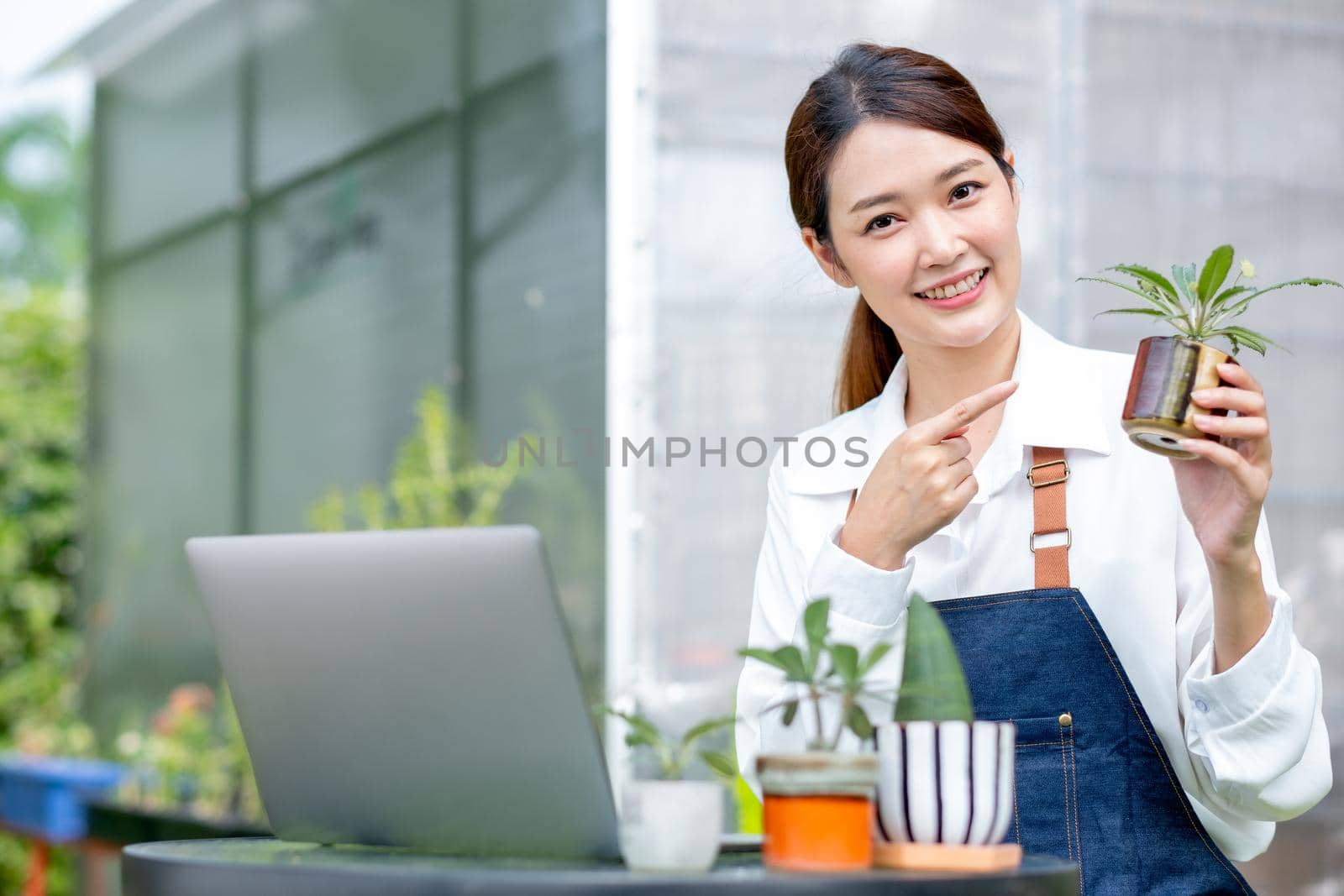 Beautiful Asian girl hold pot of plant and look at camera also pointing to pot stay with laptop on table in front green garden of her house.