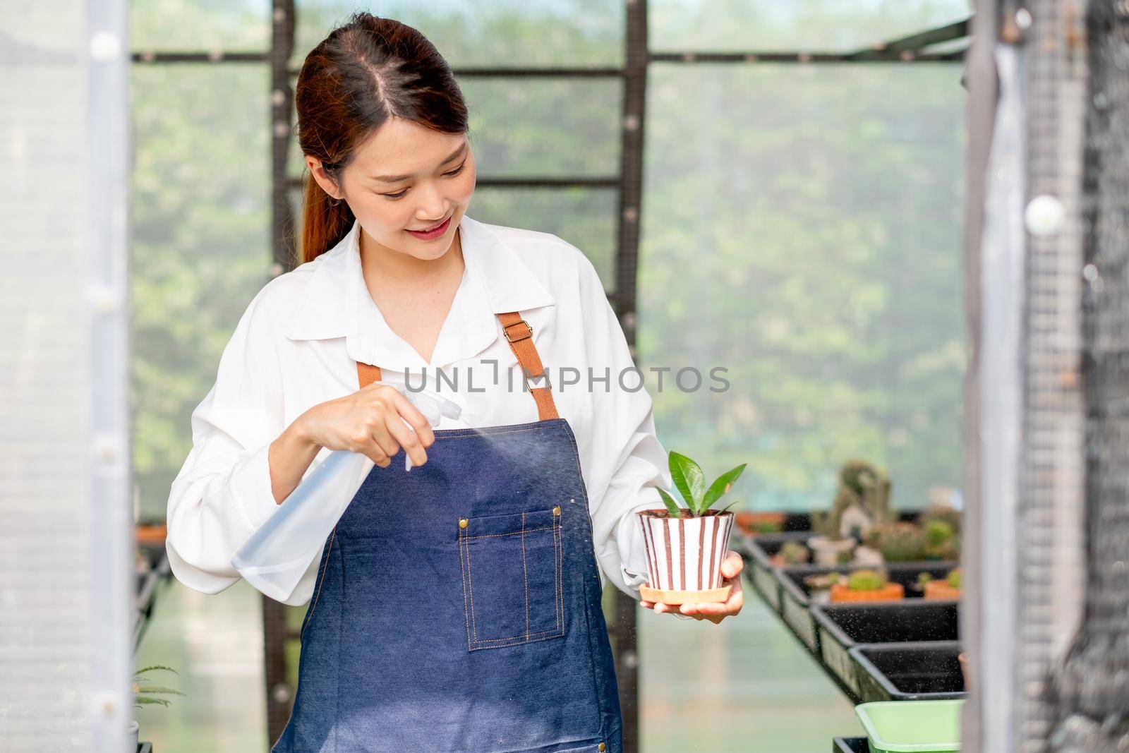 Beautiful Asian girl hold foggy bottle and spray water to plant in small pot and sit in green garden in her house. Sustainable with small business relate to grow plant concept.