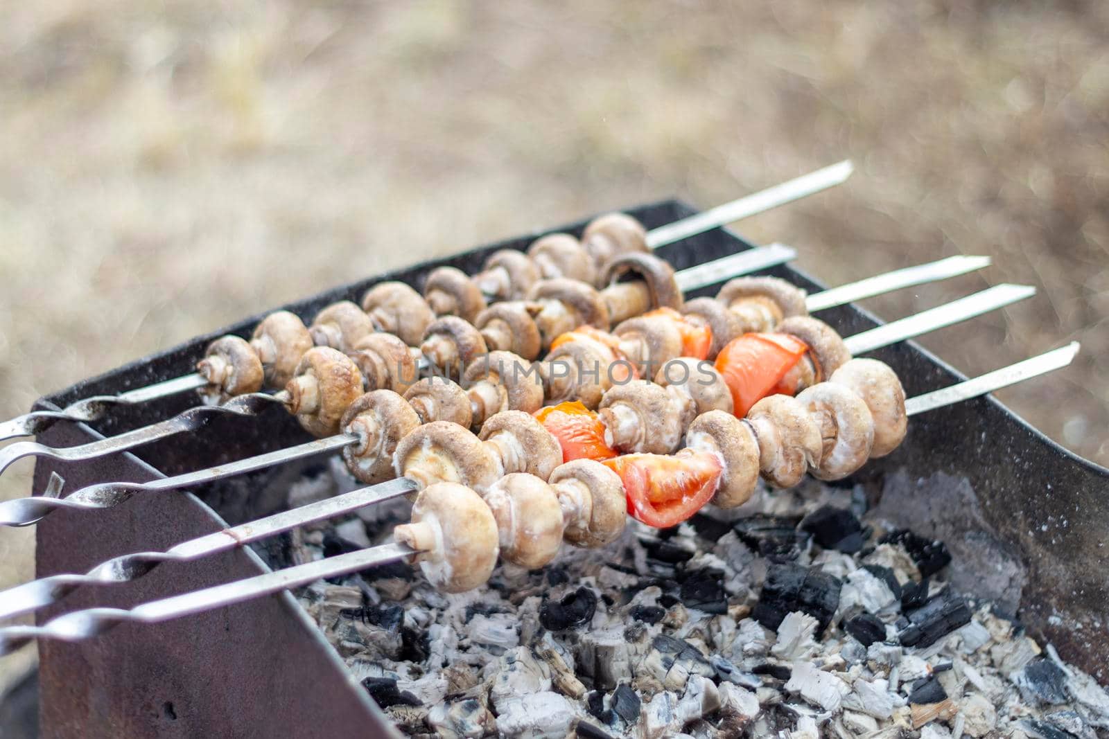 Mushrooms on skewers roast on coals. Barbeque. In nature, on the grill, mushrooms in combination with tomatoes. by Essffes