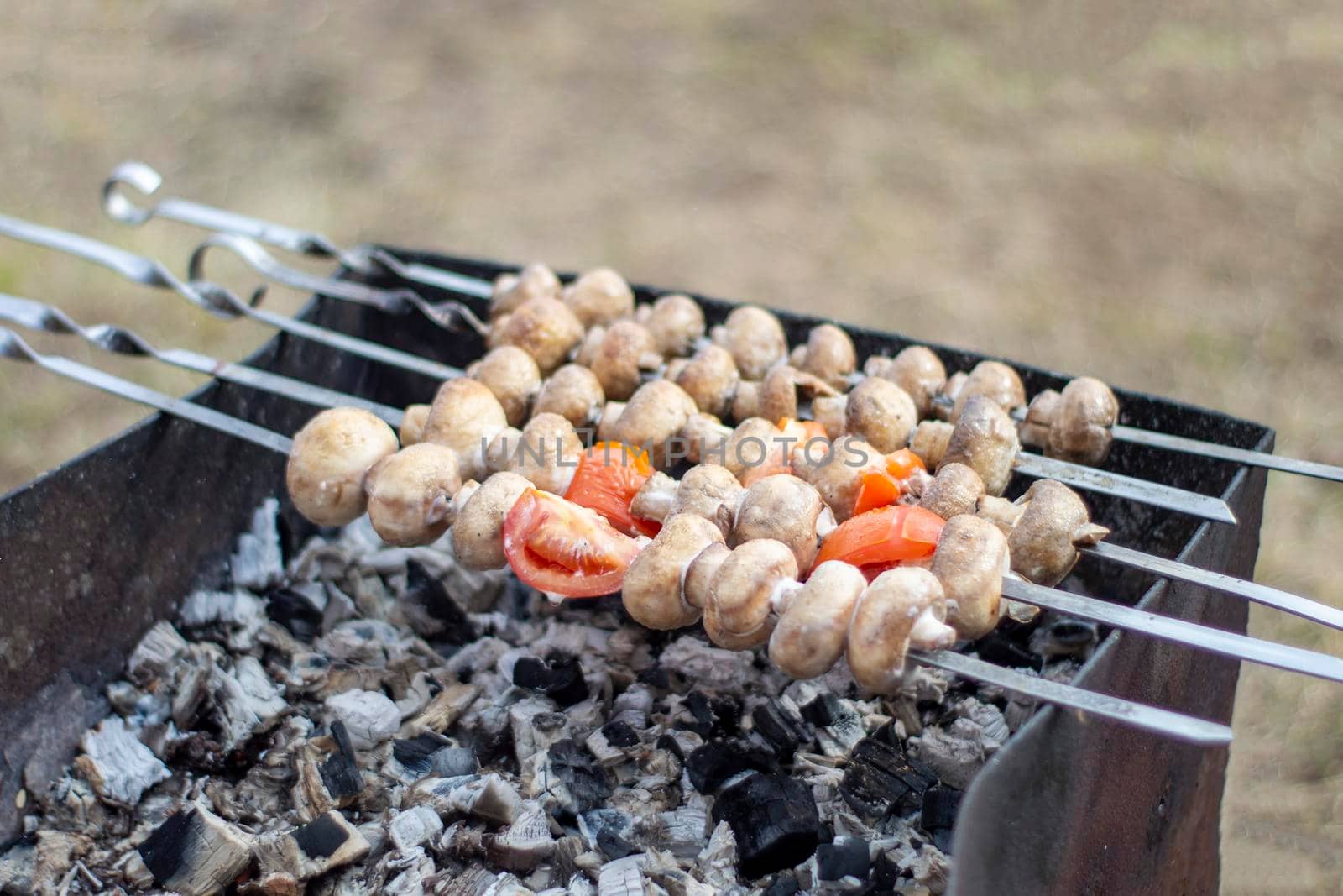 Mushrooms on skewers roast on coals. Barbeque. In nature, on the grill, mushrooms in combination with tomatoes. by Essffes