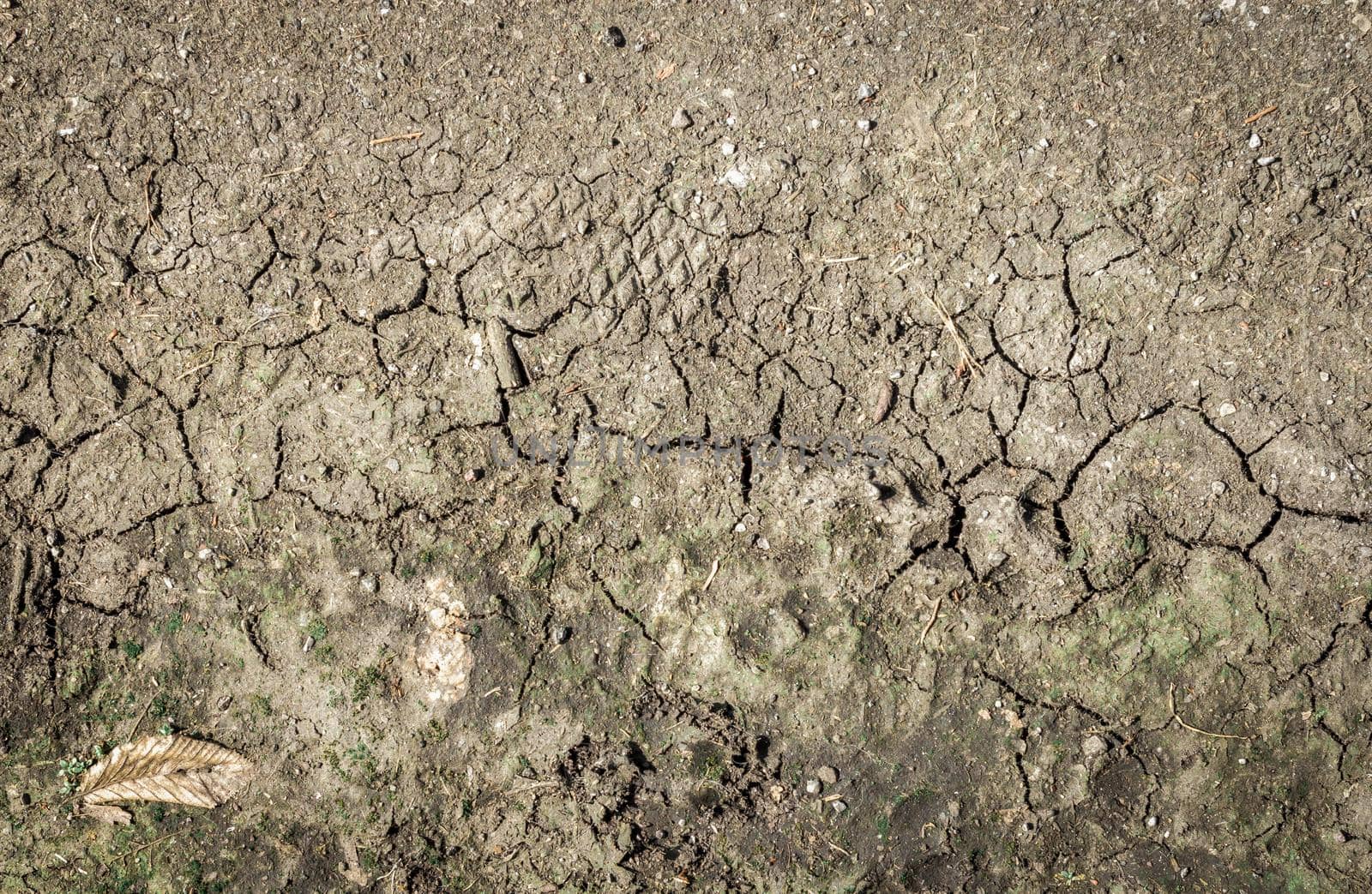 Crack soil on dry season, Global warming effect.