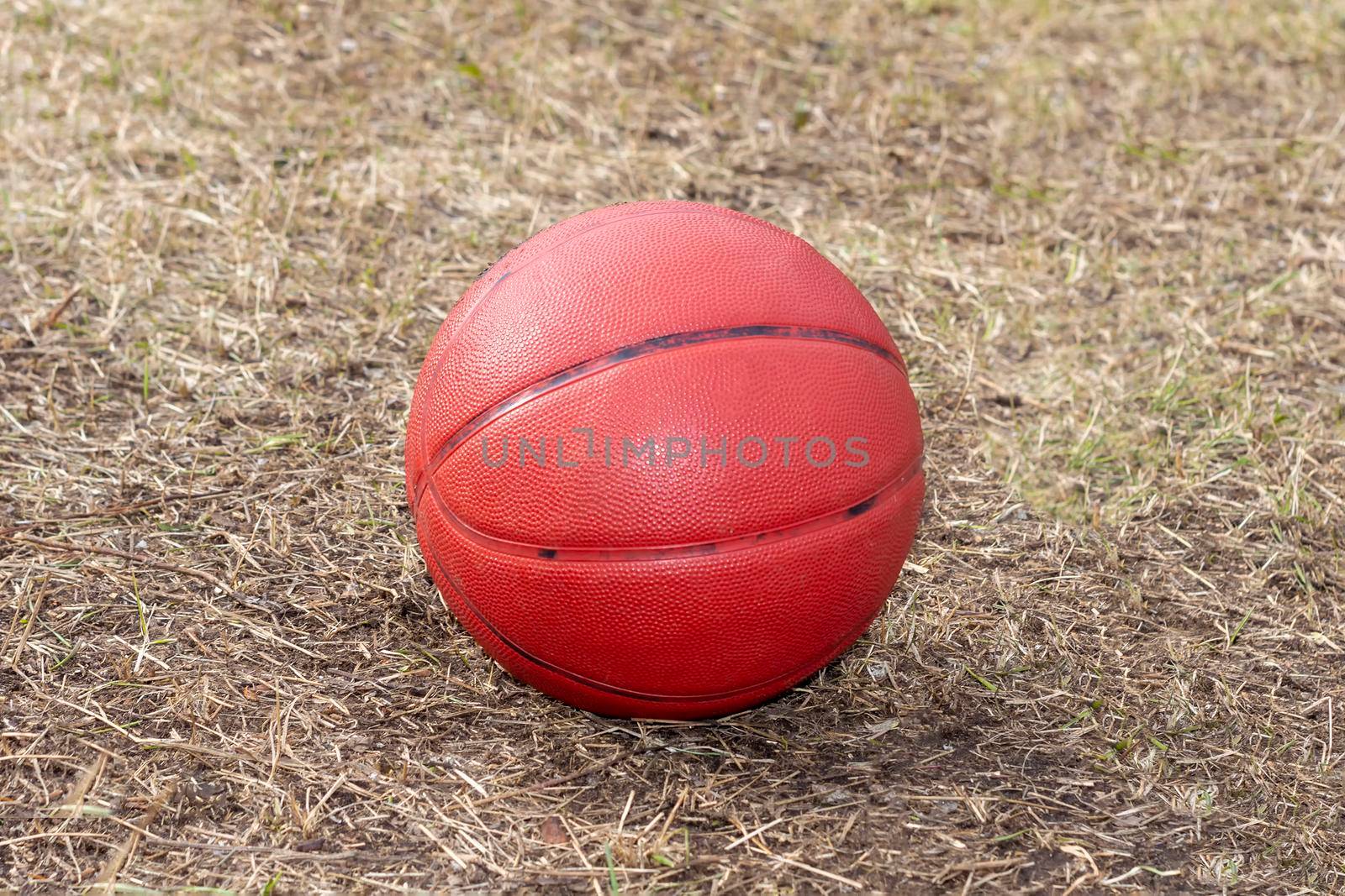 Basketball red orange ball on dry grass. Sunny autumn day. Front view by Essffes