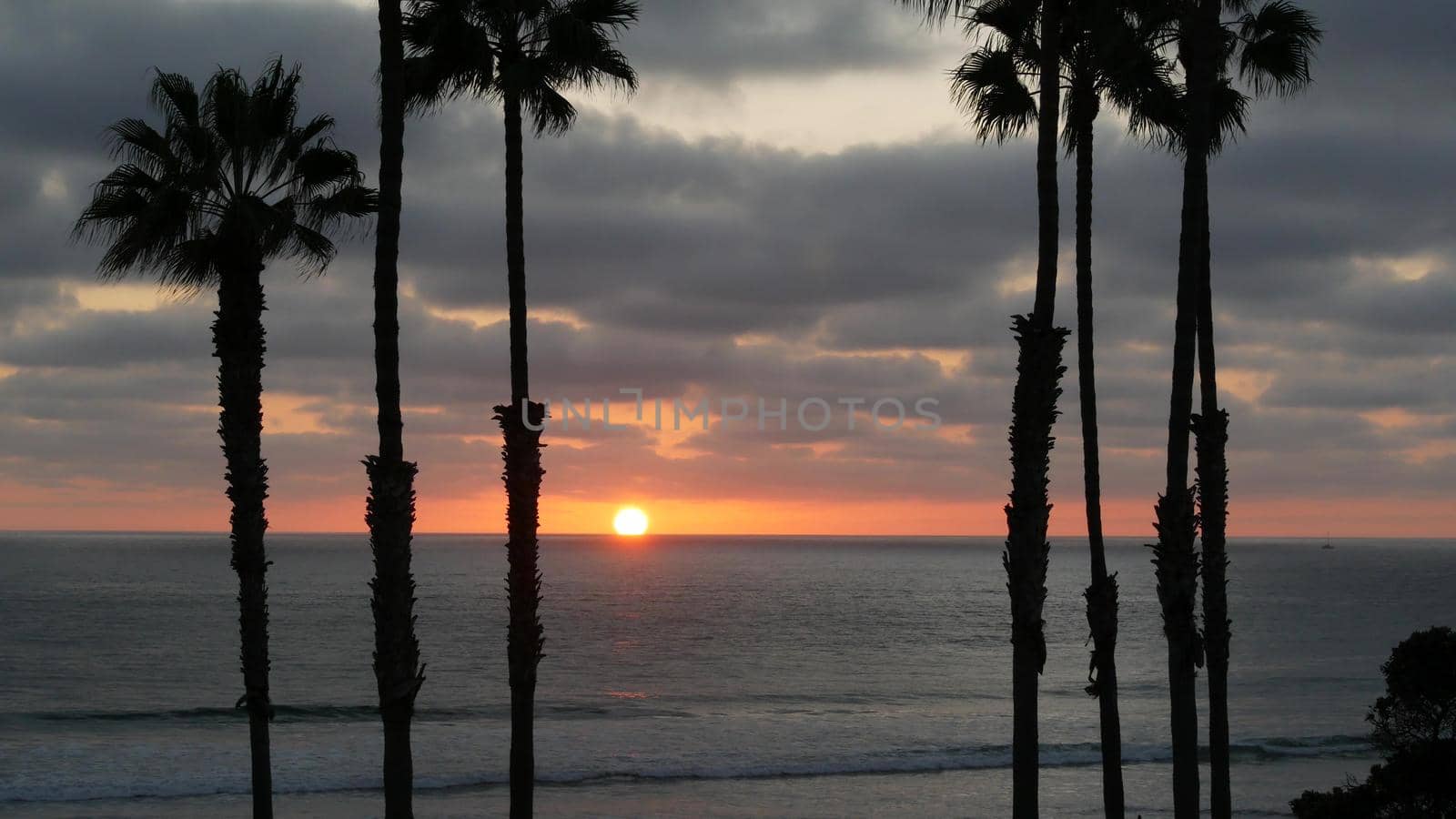 Palms and twilight sky in California USA. Tropical ocean beach sunset atmosphere. Los Angeles vibes. by DogoraSun