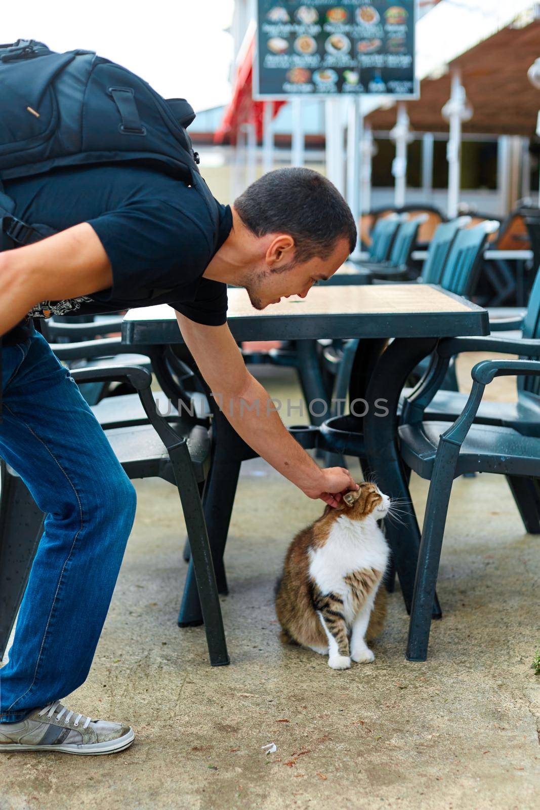 The cat is waiting for food while sitting under a table on a summer terrace in a cafe.