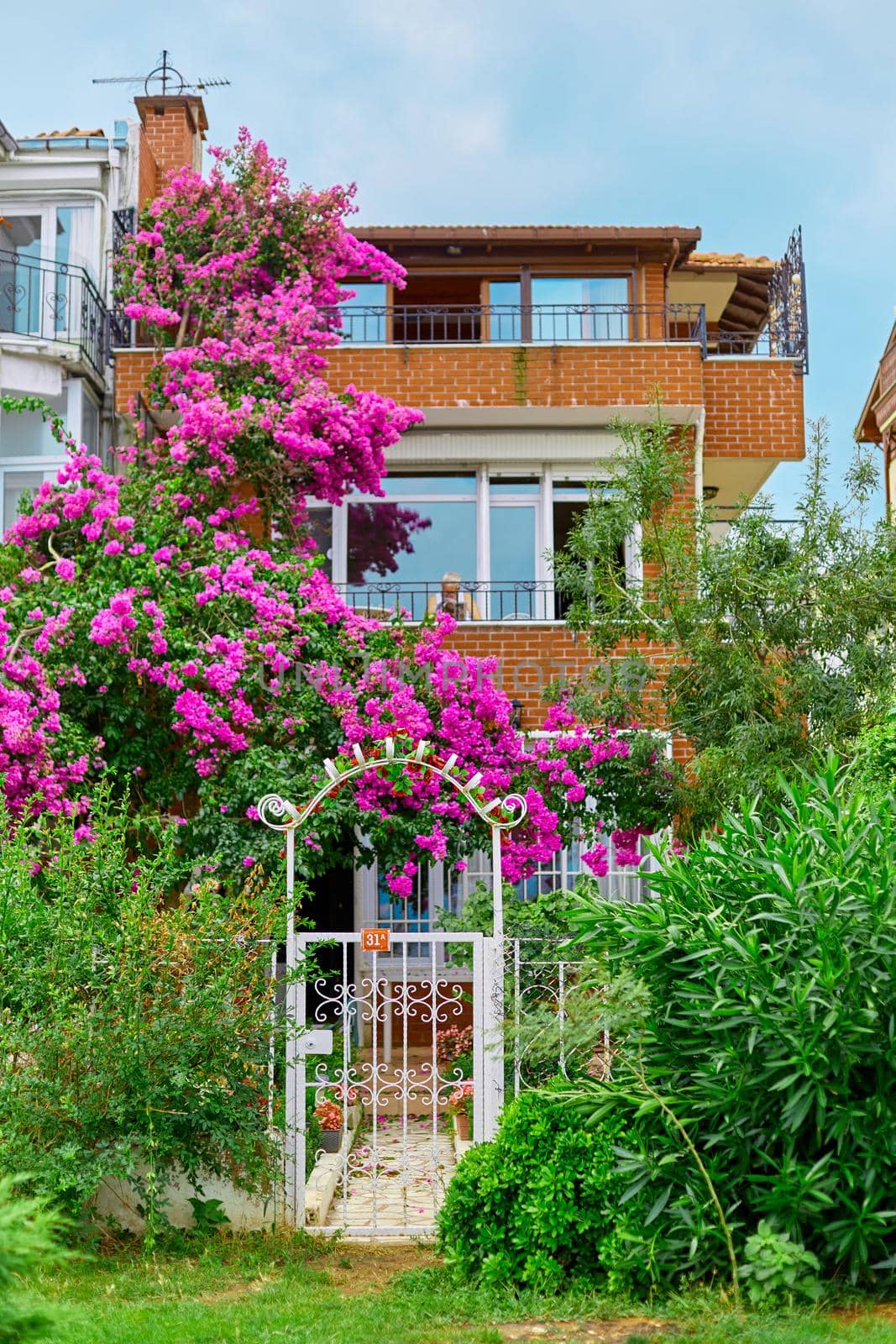 Decoration of a residential building with bright purple flowers.