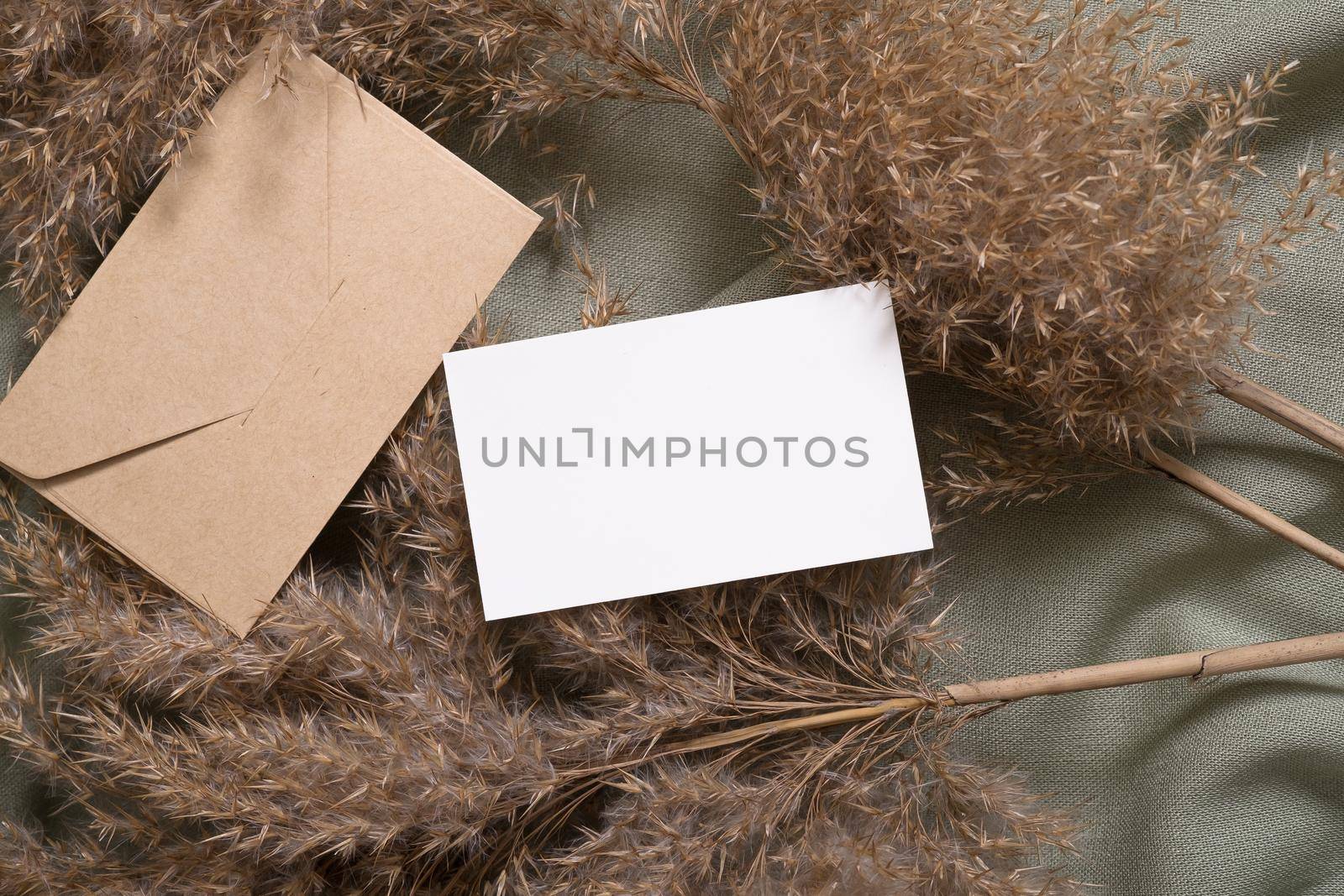 White blank paper card and envelope mockup with pampas dry grass on green neutral colored textile