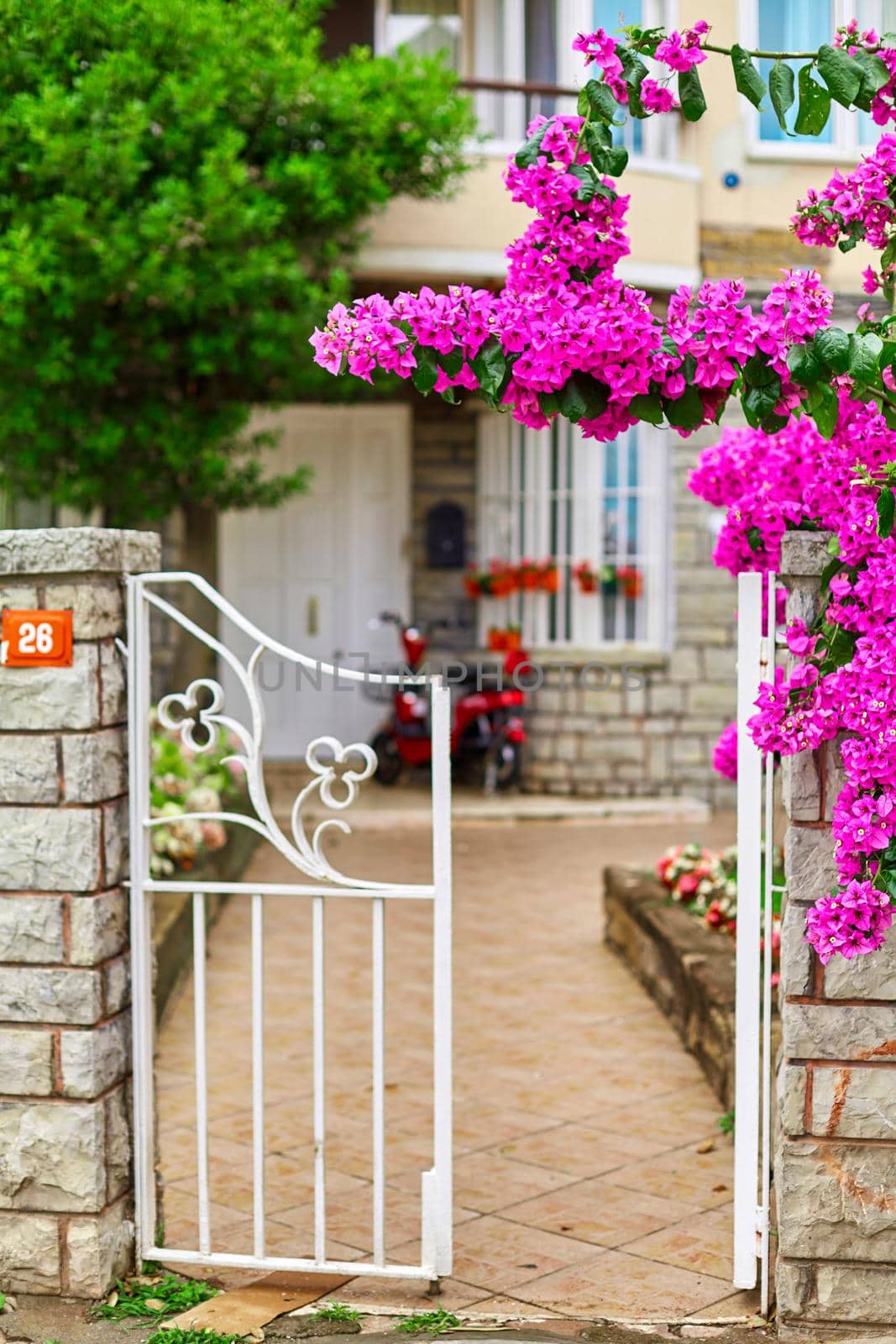 Decoration of a residential building with bright purple flowers.