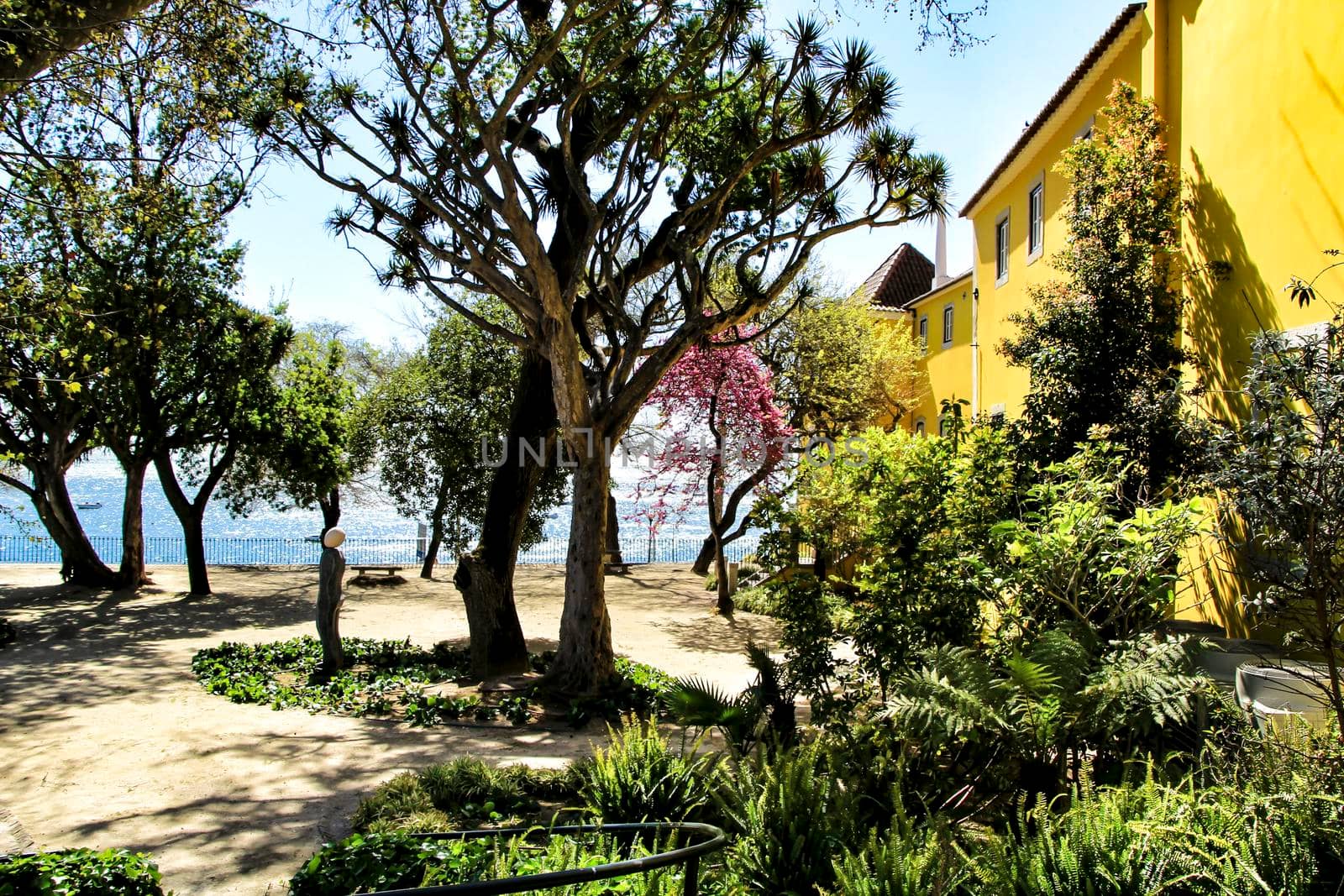 Beautiful yellow house with colorful garden in Oeiras, Lisbon, Portugal